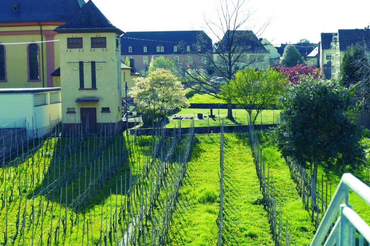 Luiza Fewo Trittenheim Bagian luar foto